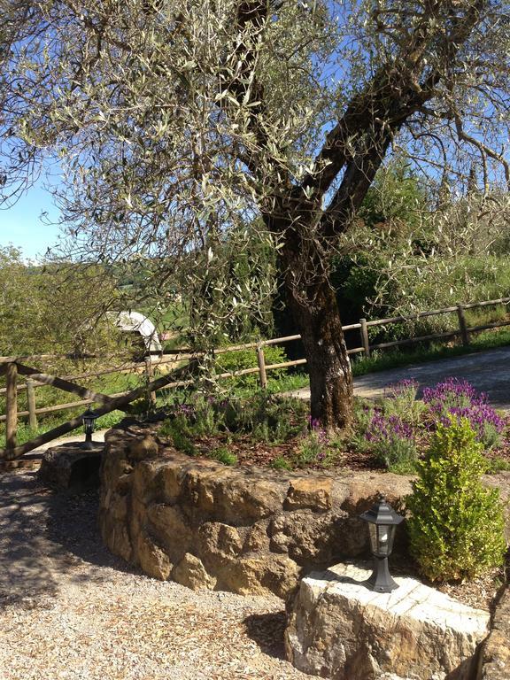 Podere Poggio Benedetto Saturnia Δωμάτιο φωτογραφία