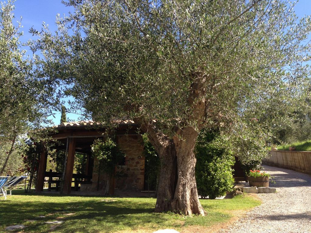 Podere Poggio Benedetto Saturnia Δωμάτιο φωτογραφία